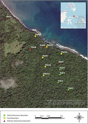 Investigating note repertoires and acoustic tradeoffs in the duet contributions of a basal haplorrhine primate